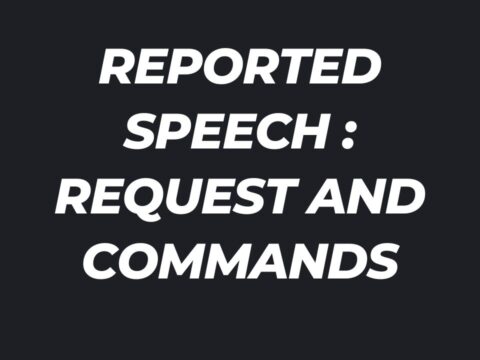 English Grammar Reported Speech Request and Commands Class 10 MCQs with answers