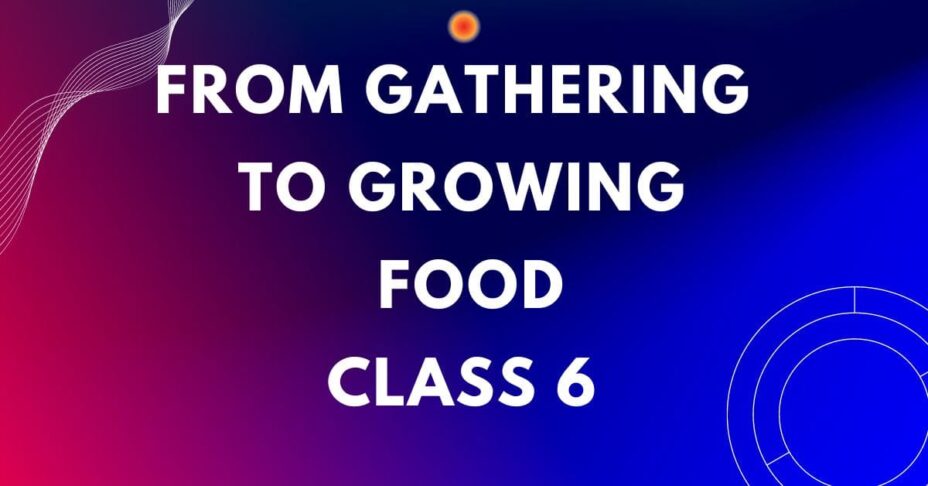 from-hunting-gathering-to-growing-food-extra-questions-fill-in-the