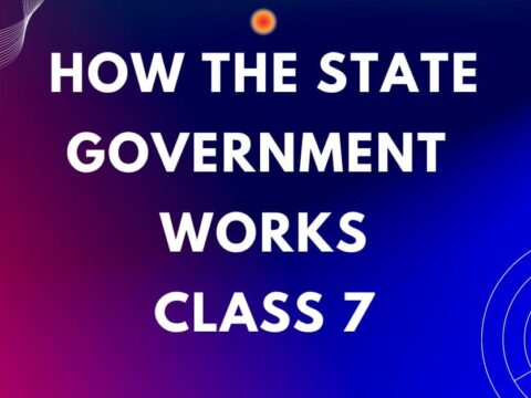 how the state government works class 7 mcq online test