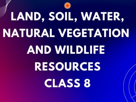 Land, Soil, Water, Natural Vegetation and Wildlife Resources mcqs