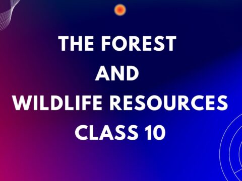 The Forest and Wildlife Resources Class 10 mcqs