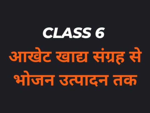 आखेट खाद्य संग्रह से भोजन उत्पादन तक Class 6 MCQs