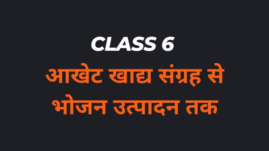 आखेट खाद्य संग्रह से भोजन उत्पादन तक Class 6 MCQs