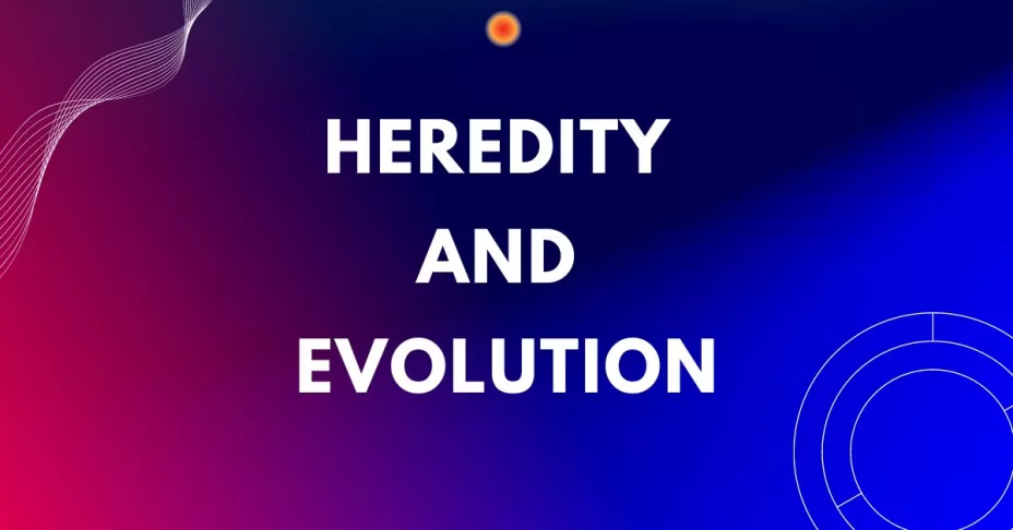 Heredity and Evolution Class 10 mcqs