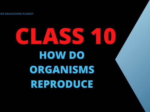 How do Organisms Reproduce class 10 extra questions