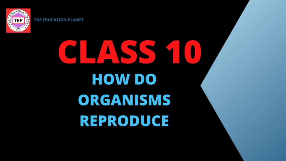 How do Organisms Reproduce class 10 extra questions