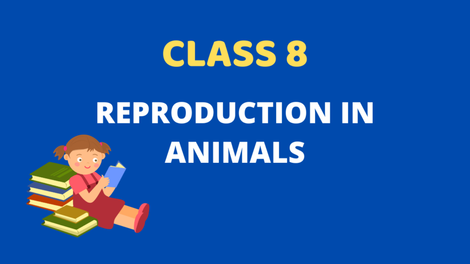 Reproduction in animals Class 8 Extra mcq