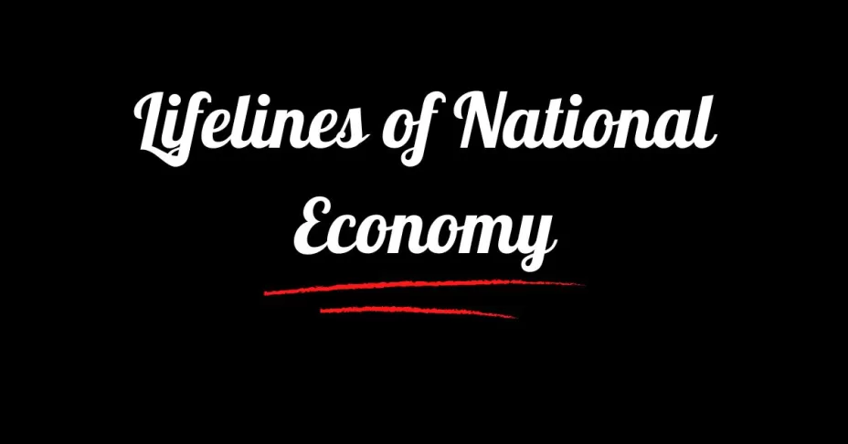 Lifelines of National Economy class 10 SST MCQ