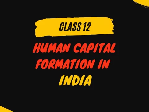 human capital formation class 12 mcq online test