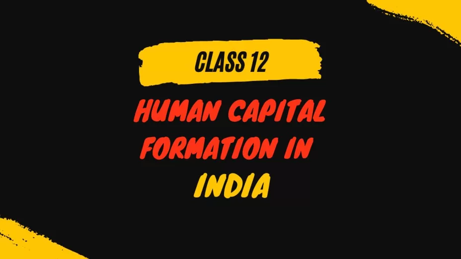 human capital formation class 12 mcq online test