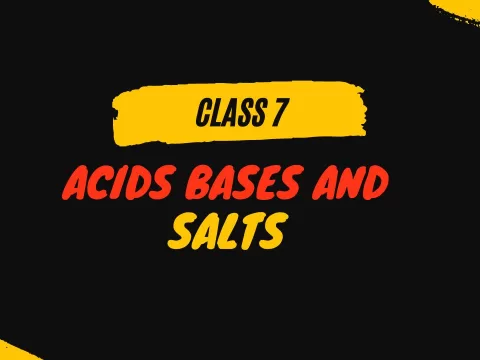 Acids Bases and Salts class 7