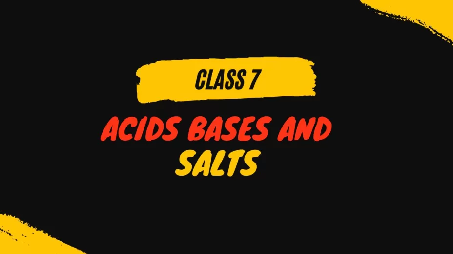 Acids Bases and Salts class 7