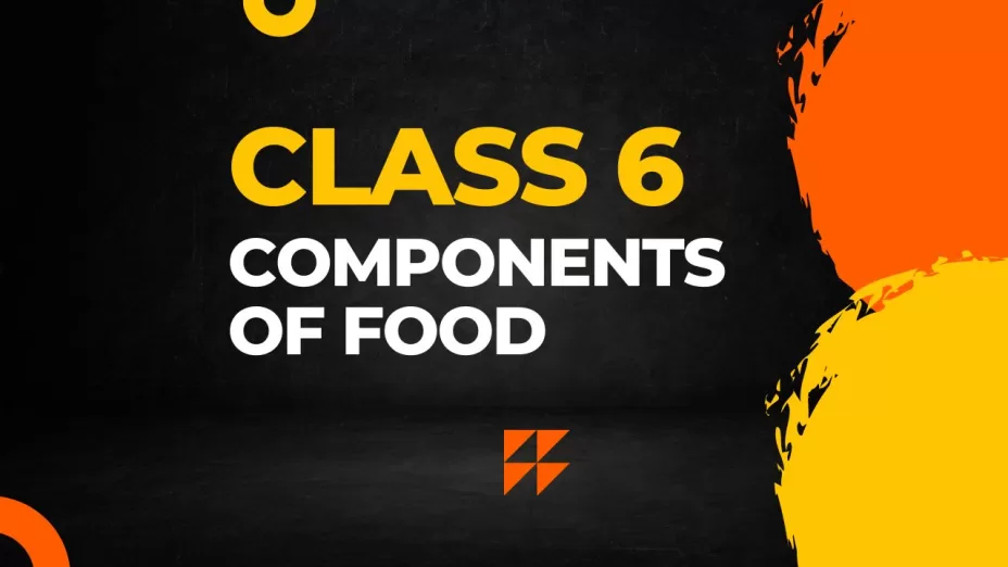 components of food Class 6