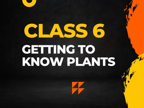 Getting to know plants Class 6