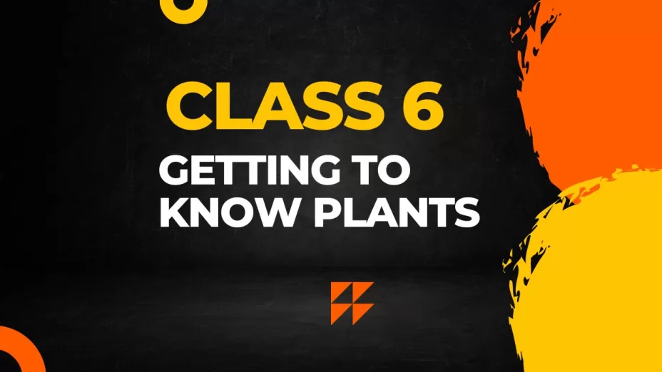 Getting to know plants Class 6