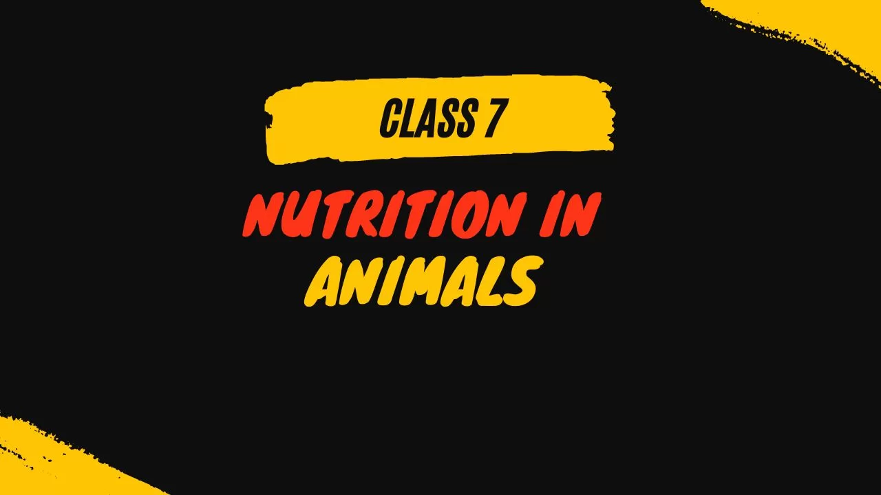Fill in the blanks: Nutrition in Animals Class 7 Question Answers
