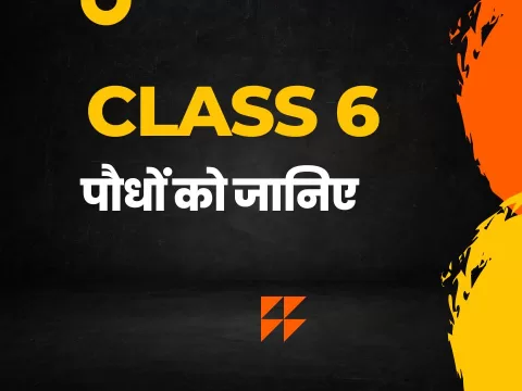 पौधों को जानिए class 6