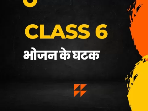 भोजन के घटक class 6