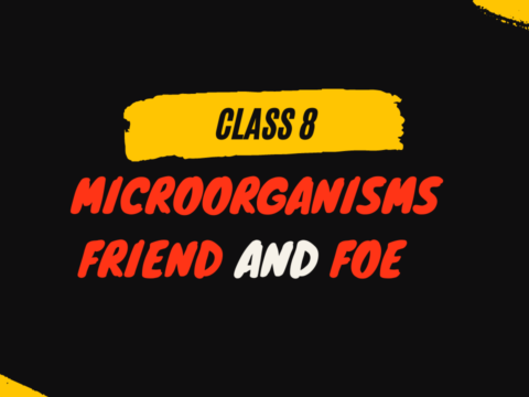 Microorganisms Friend and Foe class 8