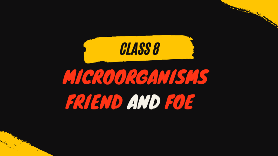 Microorganisms Friend and Foe class 8