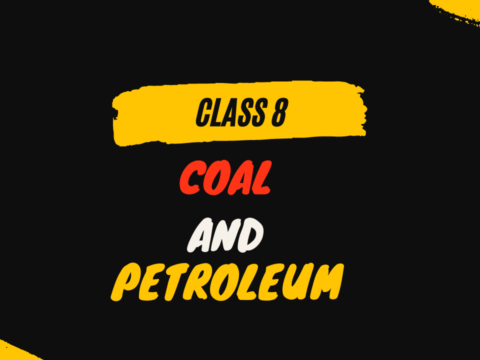 coal and Petroleum class 8