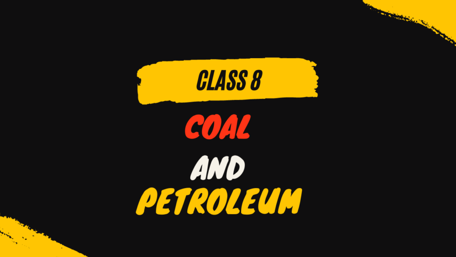 coal and Petroleum class 8