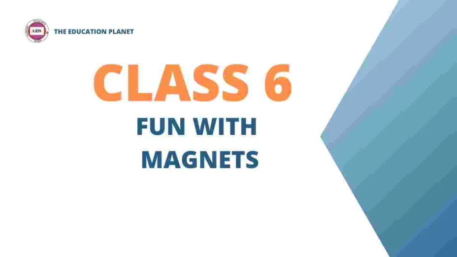 fun with magnets class 6