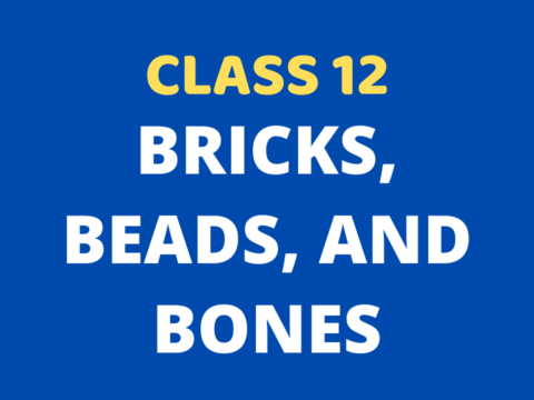 Bricks, Beads, and Bones Class 12 Extra mcq