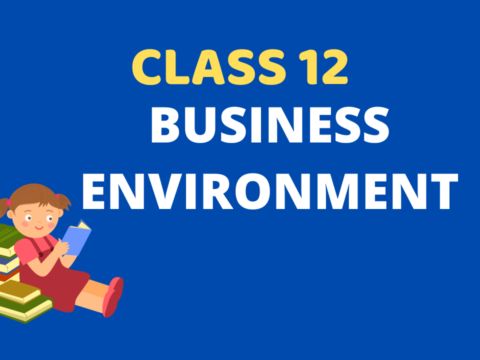 Business Environment Class 12 Extra mcq