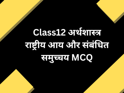 Class12 अर्थशास्त्र राष्ट्रीय आय और संबंधित समुच्चय MCQ