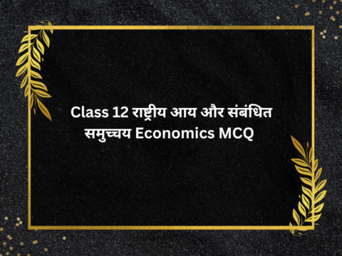 Class 12 राष्ट्रीय आय और संबंधित समुच्चय Economics MCQ