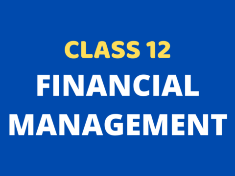 Financial Management Class 12 Extra mcq