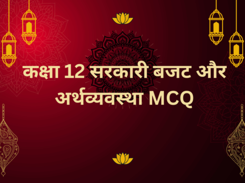 Class 12 सरकारी बजट और अर्थव्यवस्था MCQ Extra