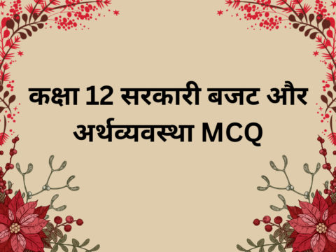 कक्षा 12 सरकारी बजट और अर्थव्यवस्था MCQ