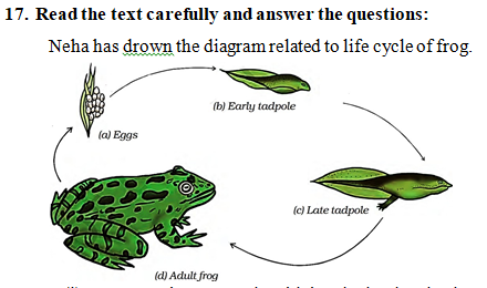 class 8 sample paper is very important for your exam.