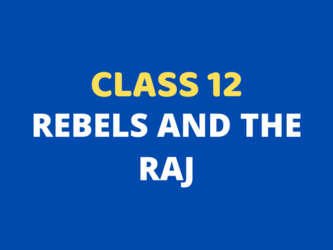 Rebels and The Raj Class 12 Extra mcq