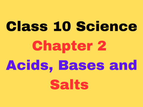 CBSE Class 10 Chapter 2 Acids, Bases and Salts MCQ