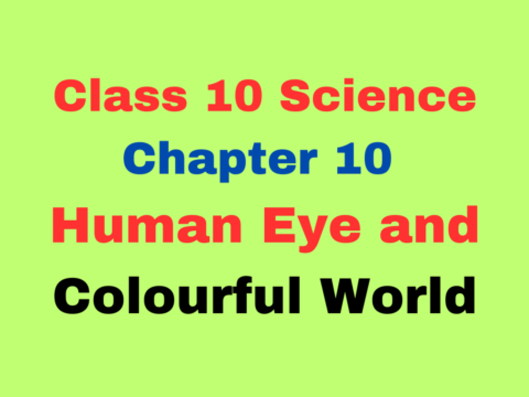 CBSE MCQ For Class 10 Human Eye and Colourful World