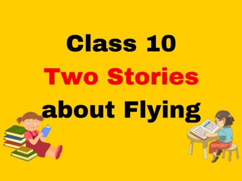 Class 10 English (Prose) Ch 3 Two Stories about Flying MCQ With Solution