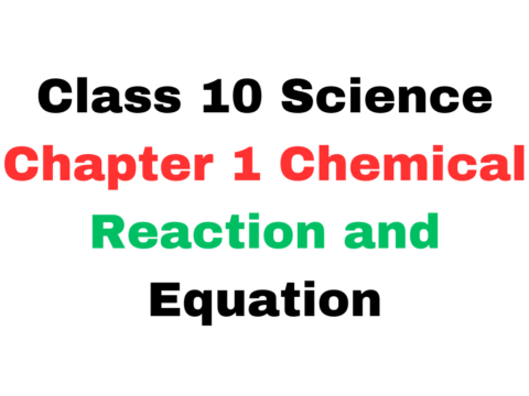 Science Class 10 Chapter 1 Chemical Reaction and Equation MCQ