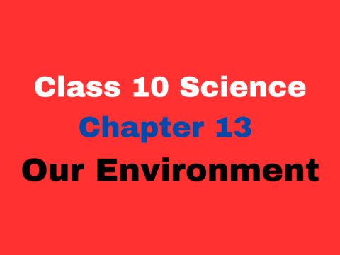 Class 10 Chapter 13 Our Environment MCQ With Online Test