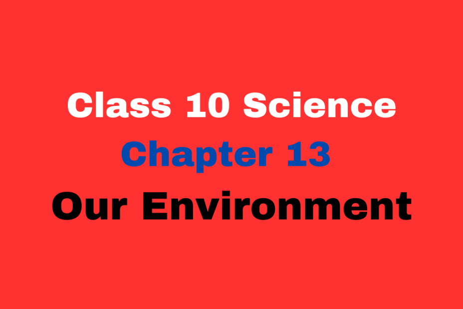 Class 10 Chapter 13 Our Environment MCQ With Online Test