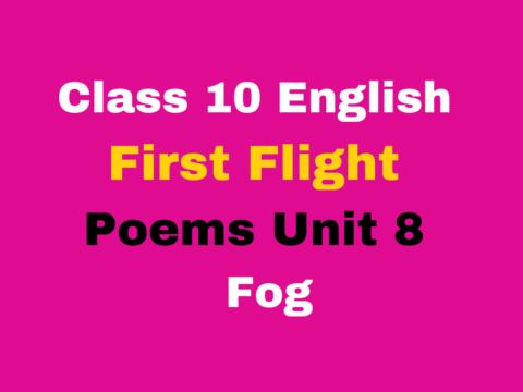 Class 10 English First Flight Poems Fog MCQ Online Test