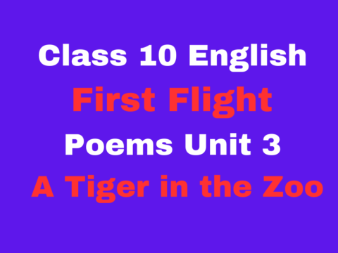 Class 10 English First Flight Poems Unit 3 A Tiger in the Zoo MCQ