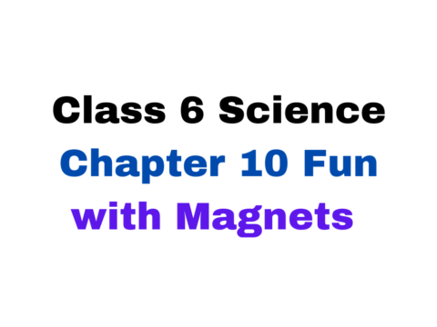 Class 6 Science Chapter 10 Fun with Magnets MCQ With Solution