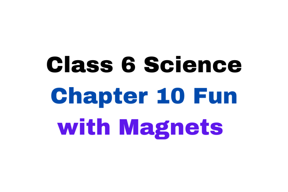 Class 6 Science Chapter 10 Fun with Magnets MCQ With Solution