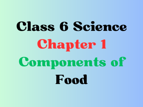 CBSE Class 6 Chapter 1 Components of Food MCQ With Solution