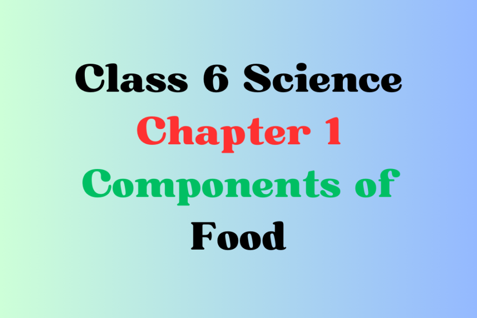 CBSE Class 6 Chapter 1 Components of Food MCQ With Solution