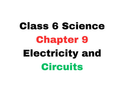 Class 6 Science Chapter 9 Electricity and Circuits MCQ