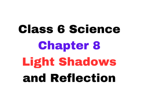 Class 6 Chapter 8 Light Shadows and Reflection MCQ